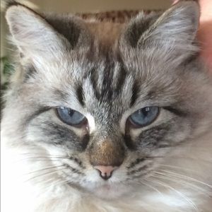 Meet your Posher, Mia